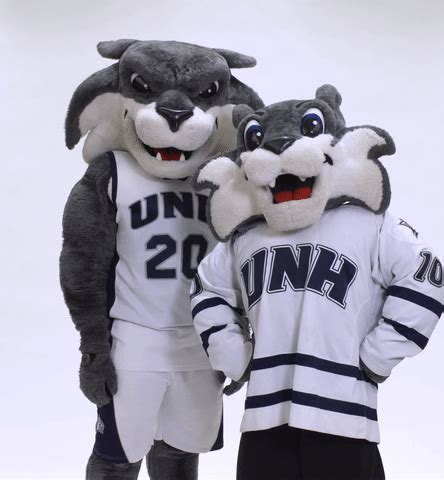 Pouncing to Victory: The Role of the UNH Wildcat Mascot in Athletics